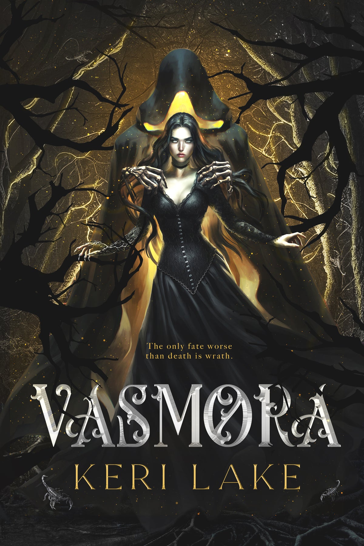 Vasmora (Hardcover) by Keri Lake