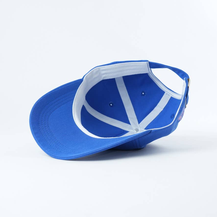 Books! Bookish Baseball Hat