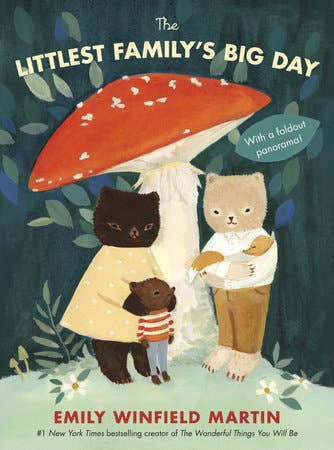 Littlest Family's Big Day by Emily Winfield Martin