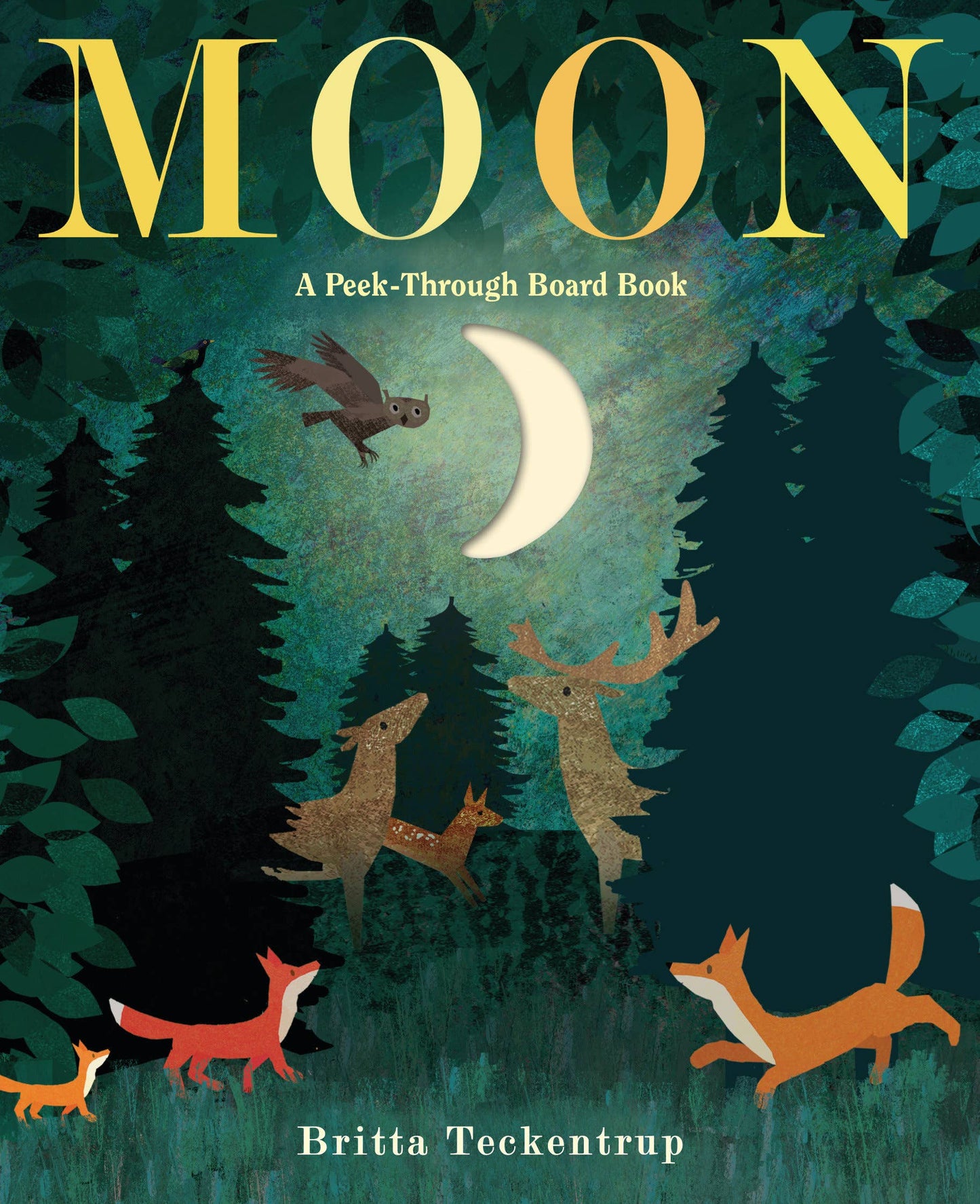 Moon: A Peek-Through Board Book by Patricia Hegarty and Britta Teekentrup
