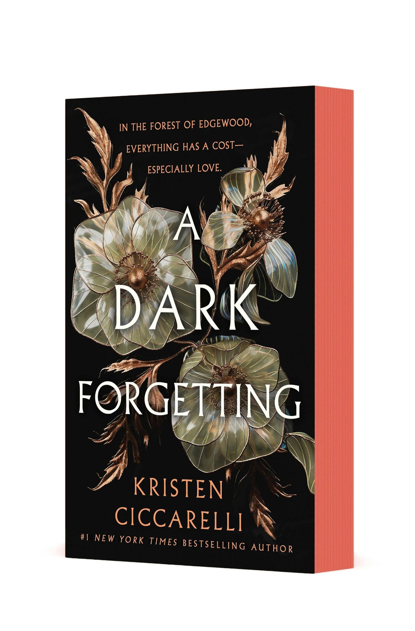 Dark Forgetting by Kristen Ciccarelli