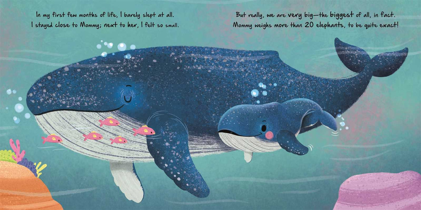 Little Whale by IglooBooks