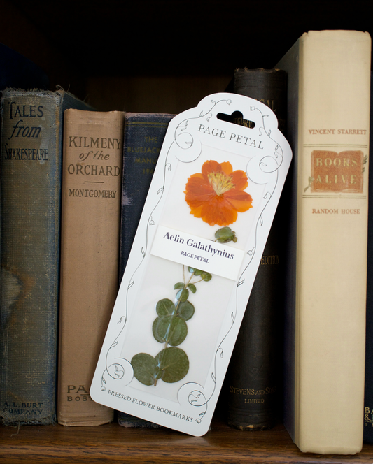 Aelin Galathynius Bookmark
