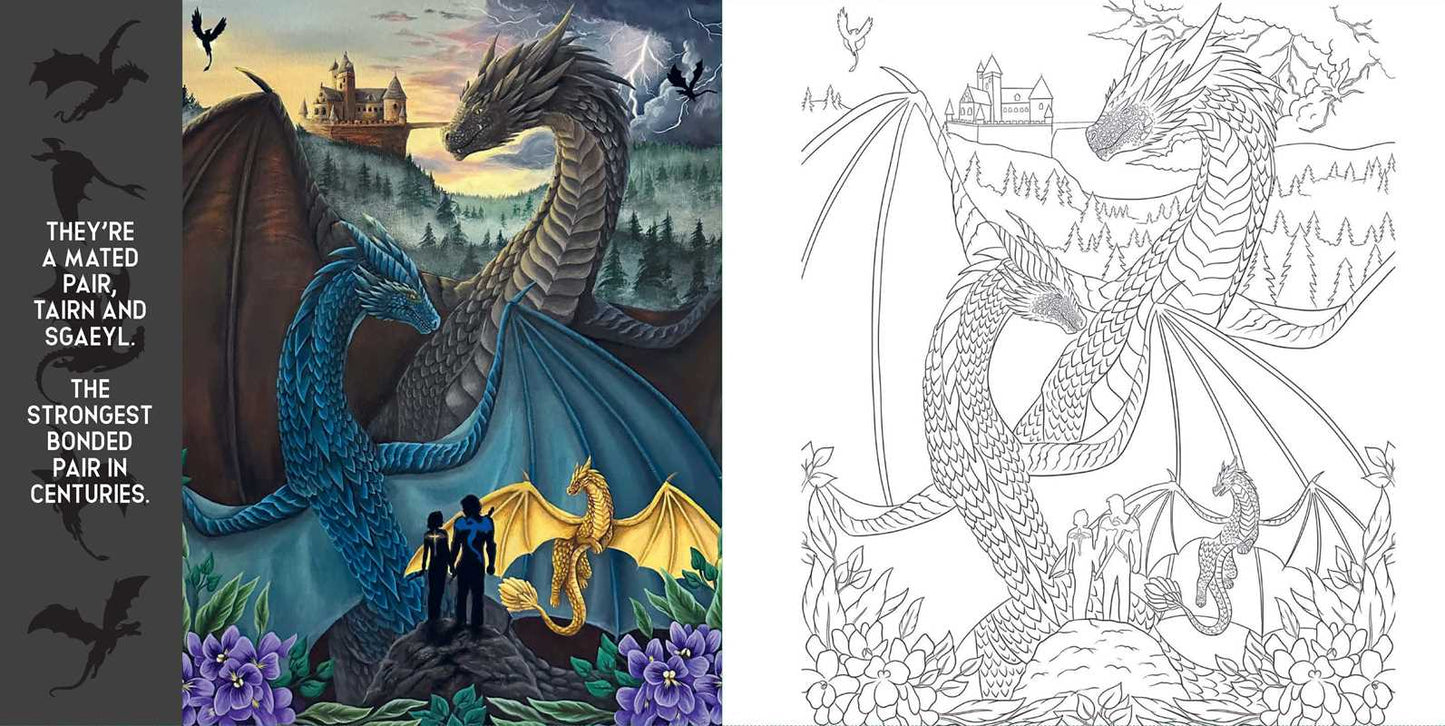 Fourth Wing Coloring Book