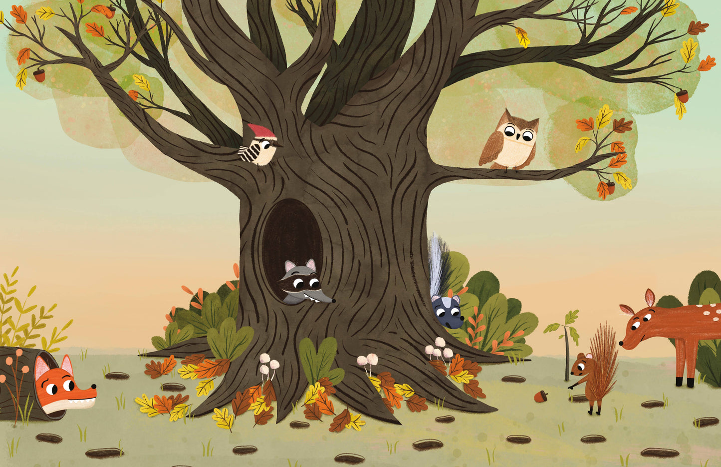 Have You Seen My Acorn? By DK Ryland