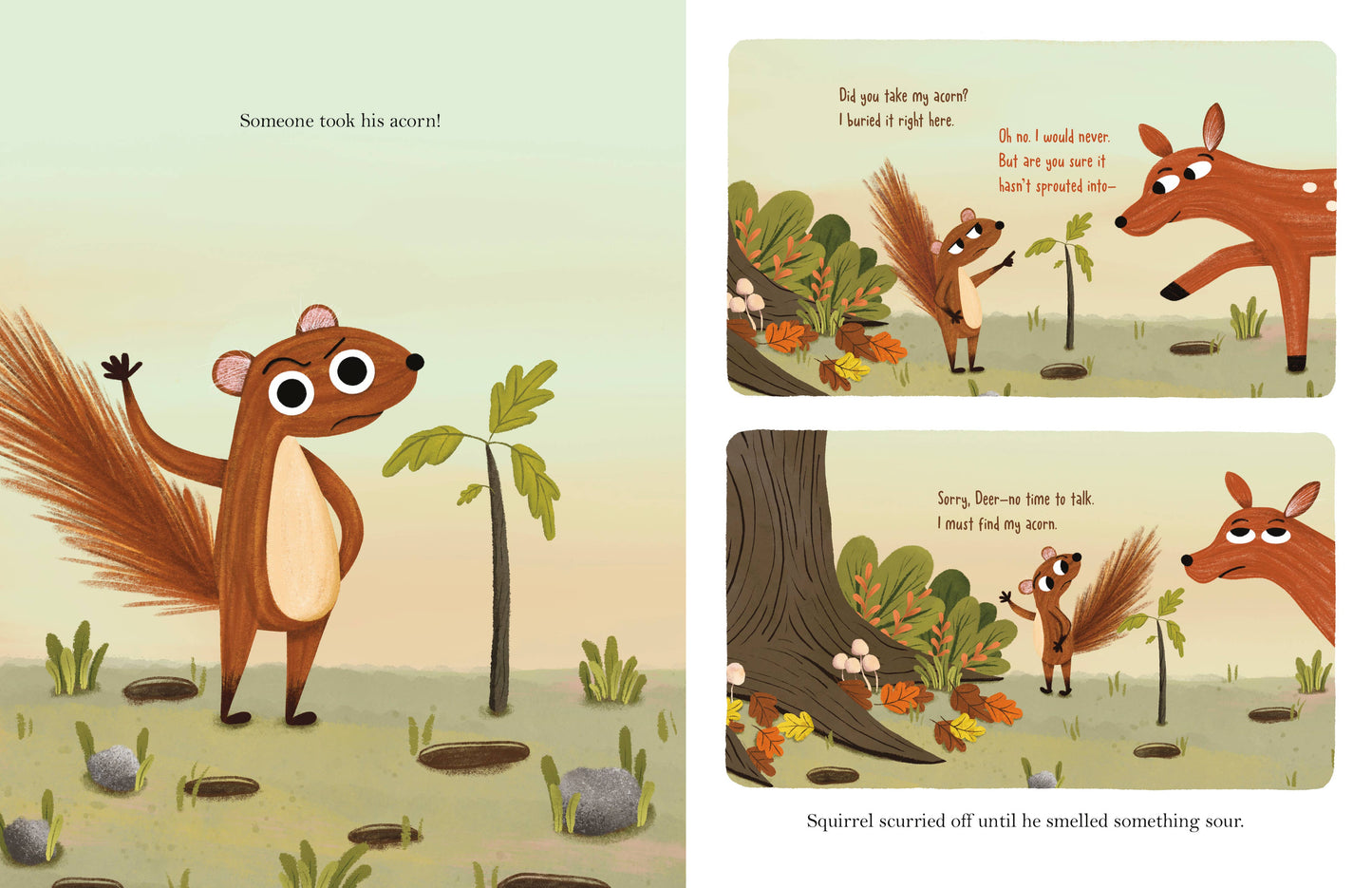 Have You Seen My Acorn? By DK Ryland