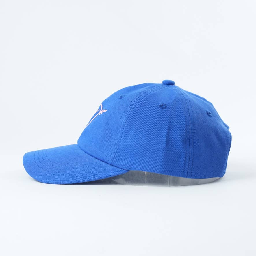 Books! Bookish Baseball Hat