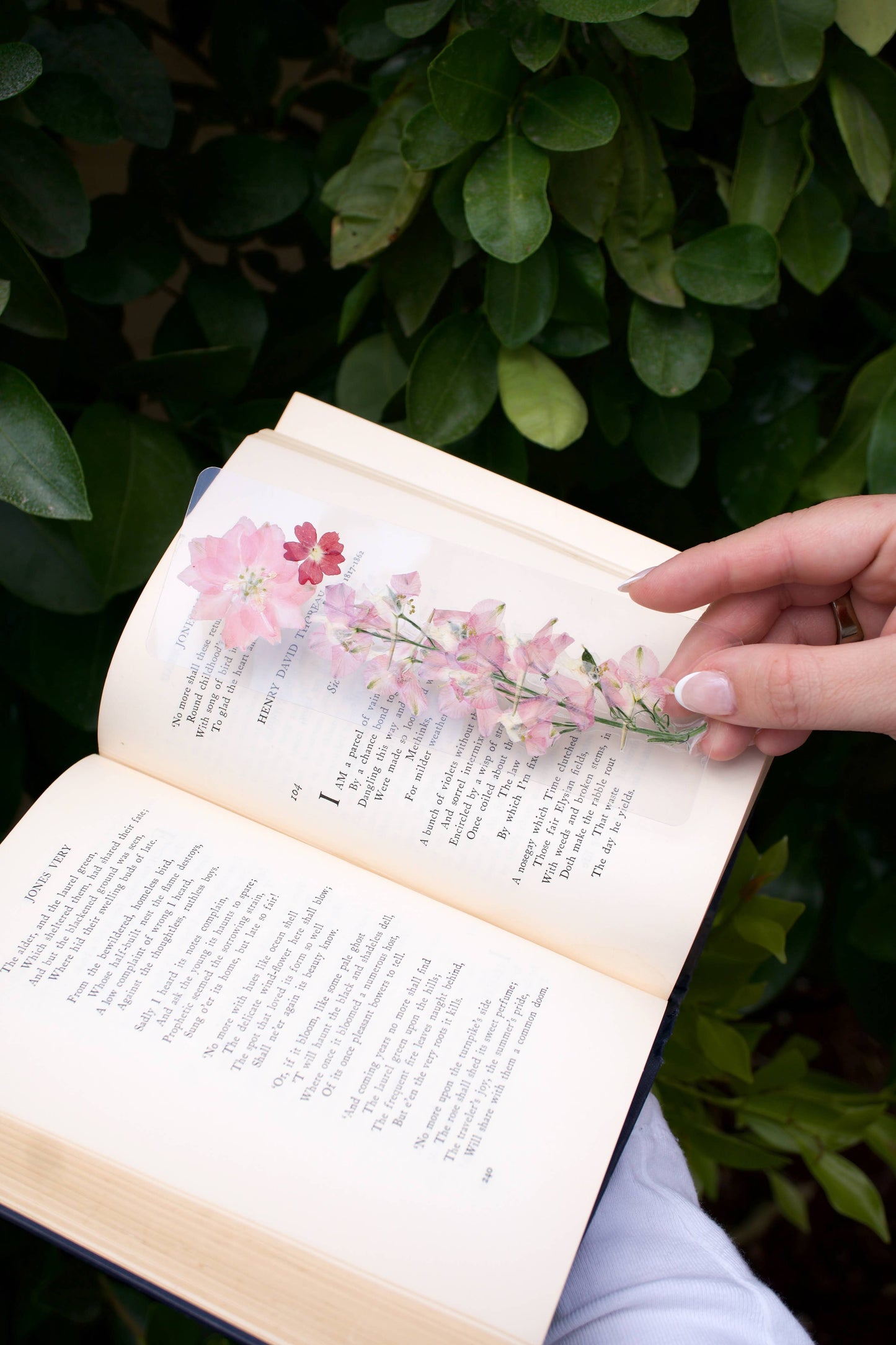 Love Pressed Flower Bookmark