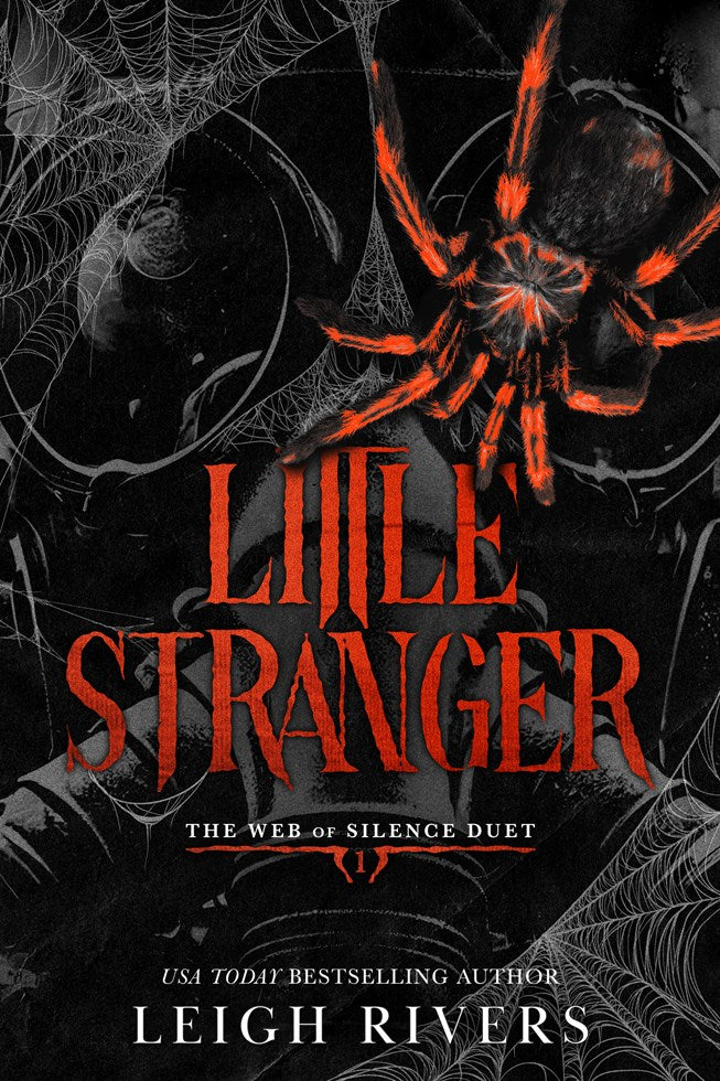 Cover of Little Stranger by Leigh Rivers