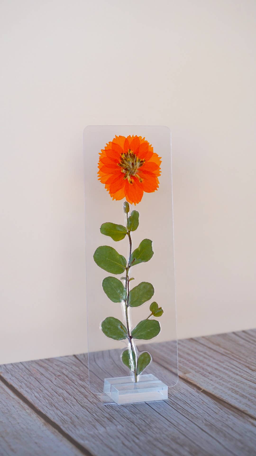 Aelin Galathynius Bookmark