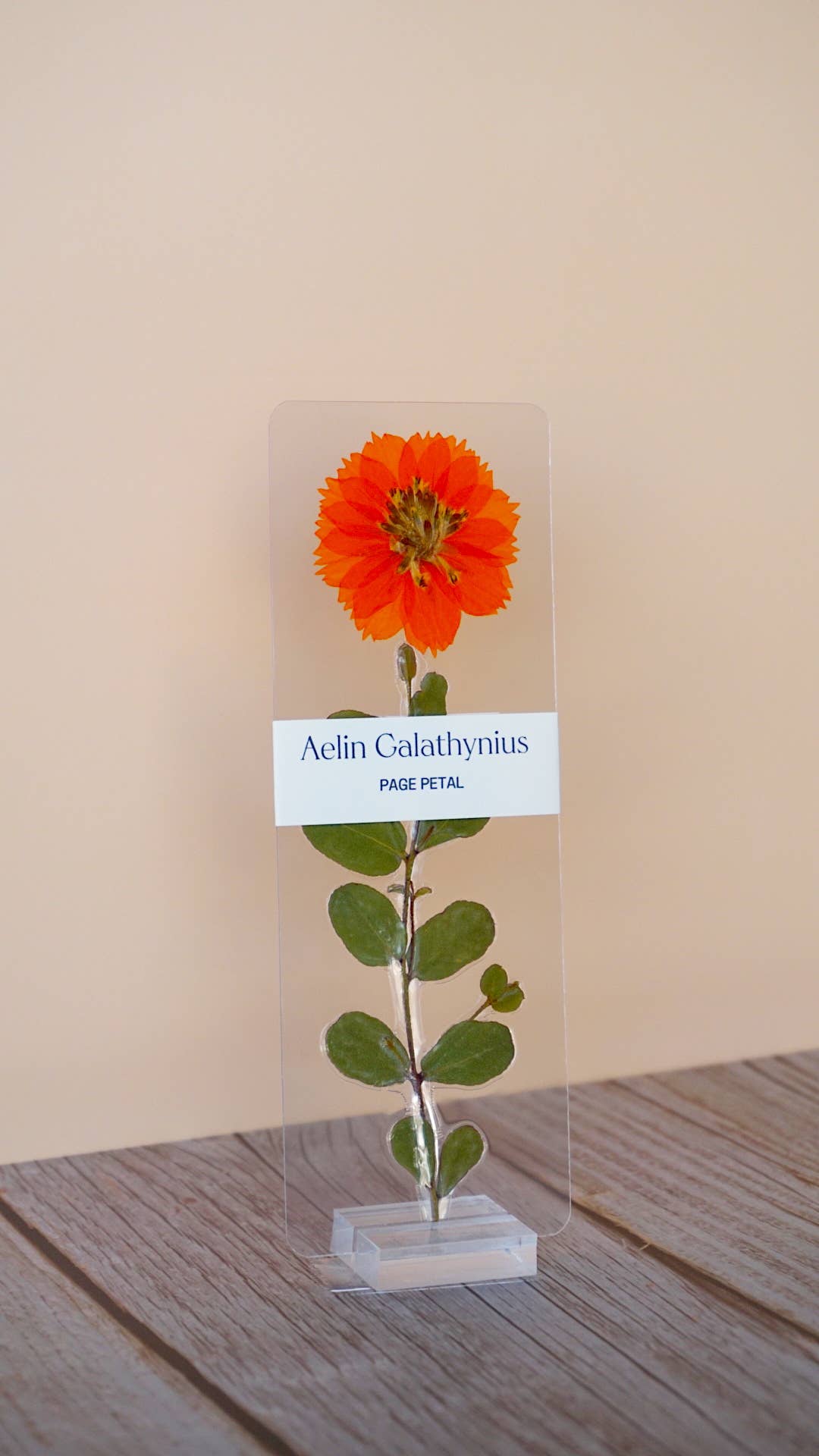 Aelin Galathynius Bookmark