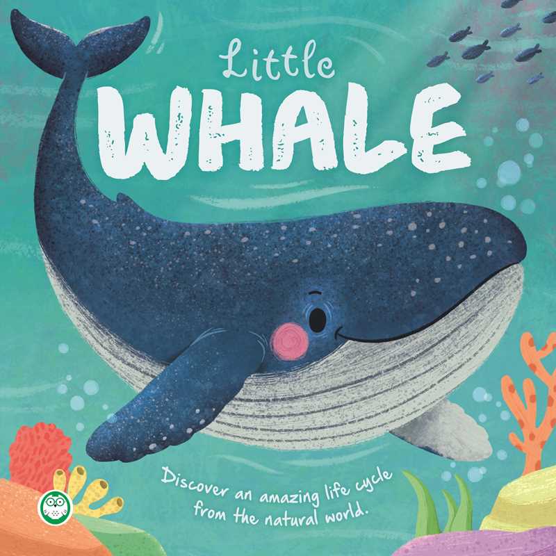 Little Whale by IglooBooks